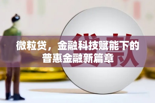 寻甸微粒贷，金融科技赋能下的普惠金融新篇章