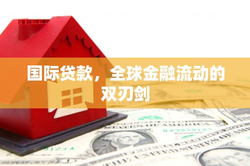 寻甸国际贷款，全球金融流动的双刃剑