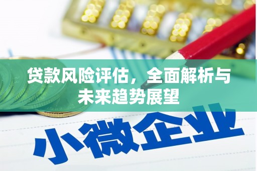 寻甸贷款风险评估，全面解析与未来趋势展望