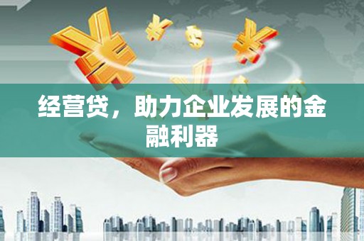 寻甸经营贷，助力企业发展的金融利器