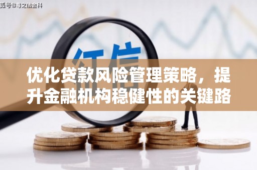 寻甸优化贷款风险管理策略，提升金融机构稳健性的关键路径