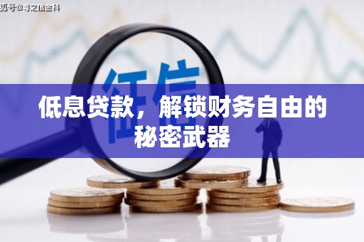 寻甸低息贷款，解锁财务自由的秘密武器