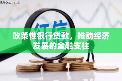 寻甸政策性银行贷款，推动经济发展的金融支柱