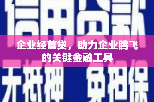 寻甸企业经营贷，助力企业腾飞的关键金融工具