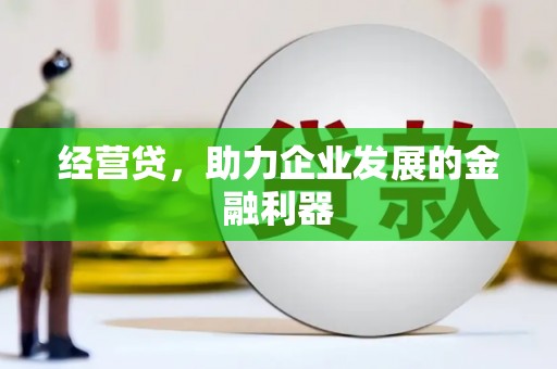 寻甸经营贷，助力企业发展的金融利器