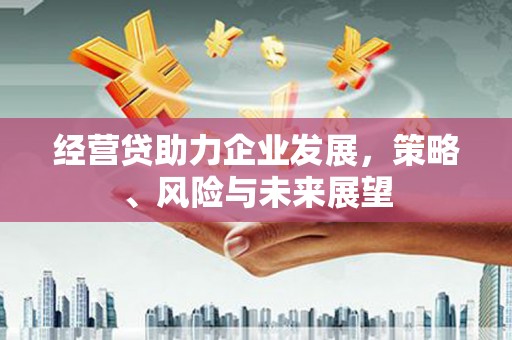 寻甸经营贷助力企业发展，策略、风险与未来展望