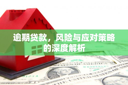 寻甸逾期贷款，风险与应对策略的深度解析