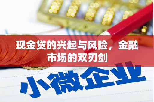 寻甸现金贷的兴起与风险，金融市场的双刃剑