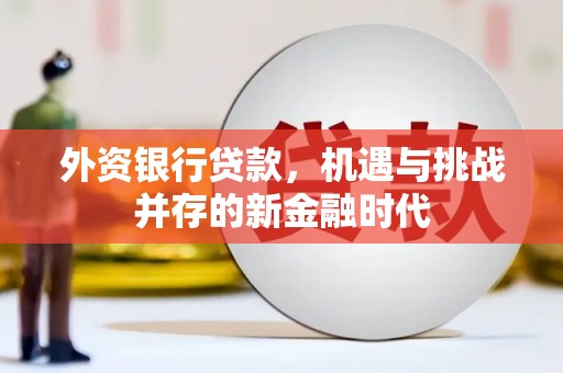 寻甸外资银行贷款，机遇与挑战并存的新金融时代
