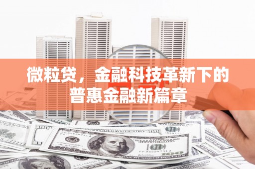 寻甸微粒贷，金融科技革新下的普惠金融新篇章