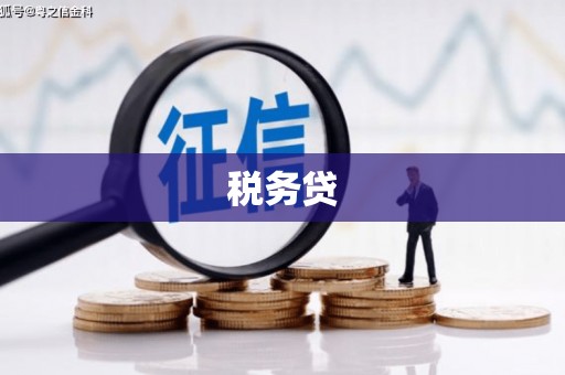 寻甸税务贷