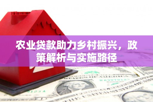 寻甸农业贷款助力乡村振兴，政策解析与实施路径