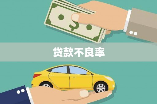 寻甸贷款不良率