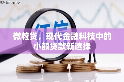 寻甸微粒贷，现代金融科技中的小额贷款新选择