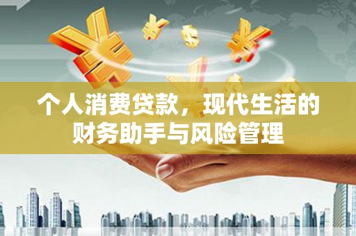 寻甸个人消费贷款，现代生活的财务助手与风险管理