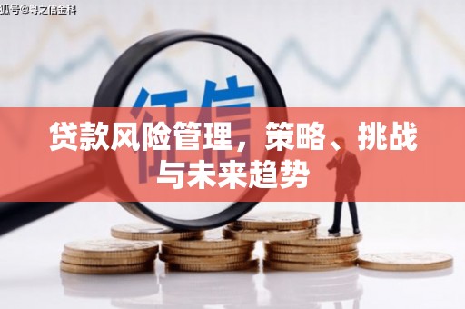寻甸贷款风险管理，策略、挑战与未来趋势