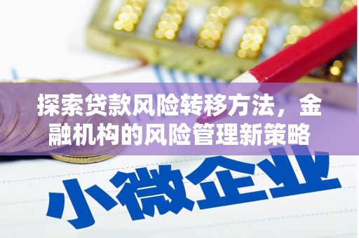 寻甸探索贷款风险转移方法，金融机构的风险管理新策略