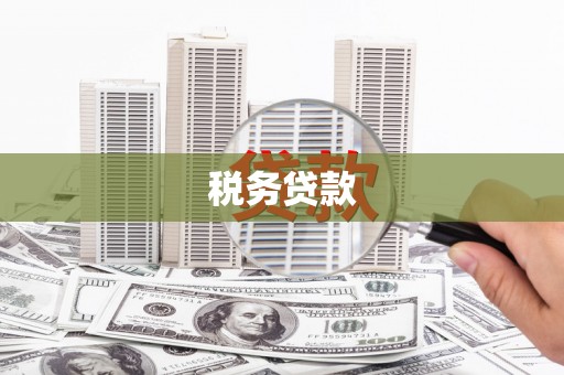 寻甸税务贷款