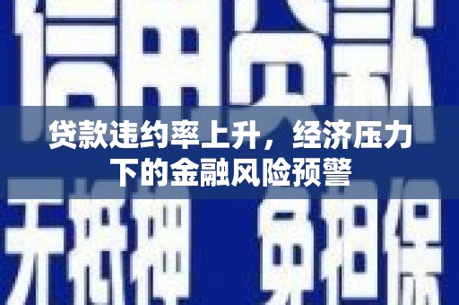寻甸贷款违约率上升，经济压力下的金融风险预警