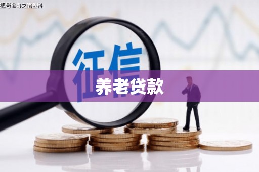 寻甸养老贷款