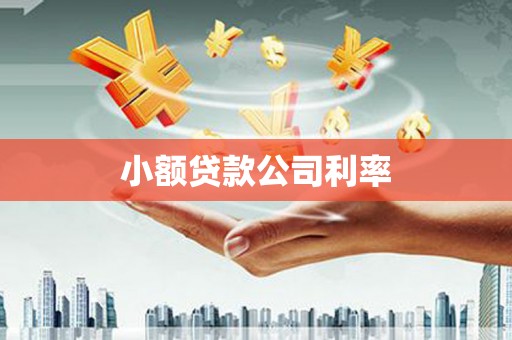 寻甸小额贷款公司利率
