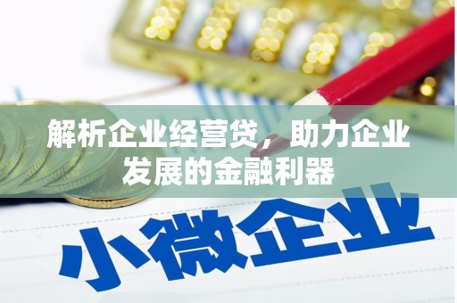 寻甸解析企业经营贷，助力企业发展的金融利器
