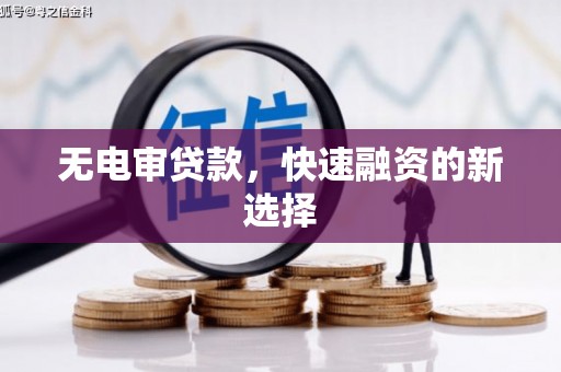 寻甸无电审贷款，快速融资的新选择