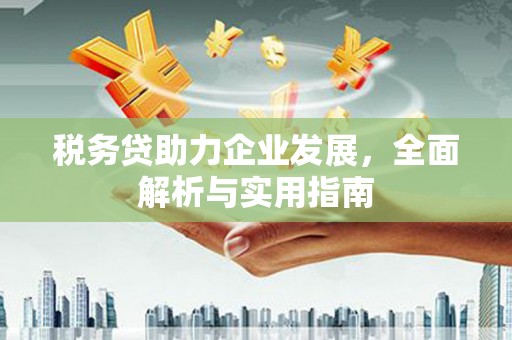 寻甸税务贷助力企业发展，全面解析与实用指南
