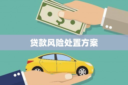 寻甸贷款风险处置方案