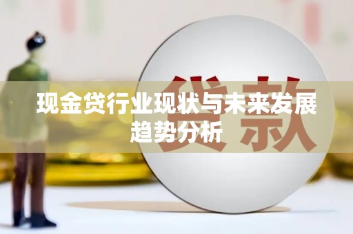 寻甸现金贷行业现状与未来发展趋势分析
