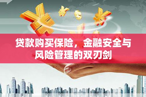 寻甸贷款购买保险，金融安全与风险管理的双刃剑
