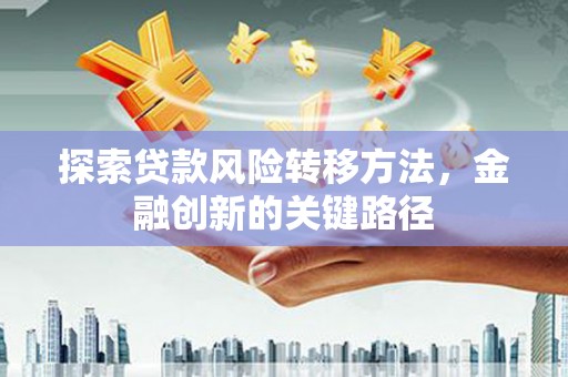寻甸探索贷款风险转移方法，金融创新的关键路径