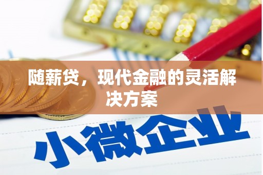 寻甸随薪贷，现代金融的灵活解决方案
