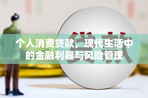 寻甸个人消费贷款，现代生活中的金融利器与风险管理
