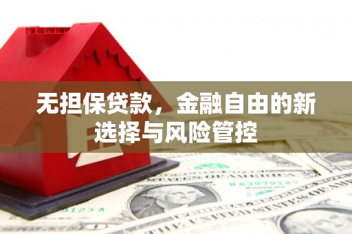 寻甸无担保贷款，金融自由的新选择与风险管控