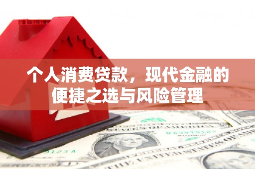 寻甸个人消费贷款，现代金融的便捷之选与风险管理