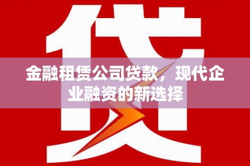 寻甸金融租赁公司贷款，现代企业融资的新选择