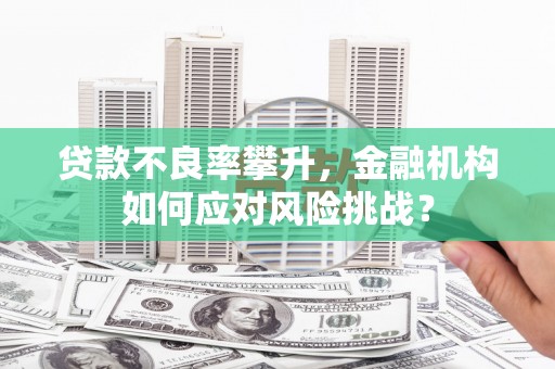 寻甸贷款不良率攀升，金融机构如何应对风险挑战？