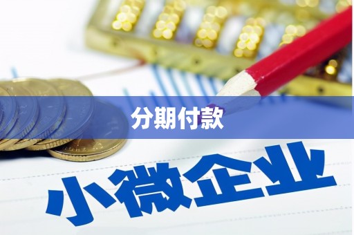 寻甸分期付款