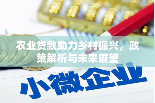 寻甸农业贷款助力乡村振兴，政策解析与未来展望