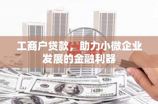 寻甸工商户贷款，助力小微企业发展的金融利器