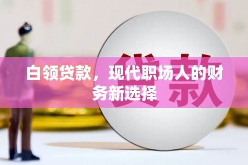 寻甸白领贷款，现代职场人的财务新选择