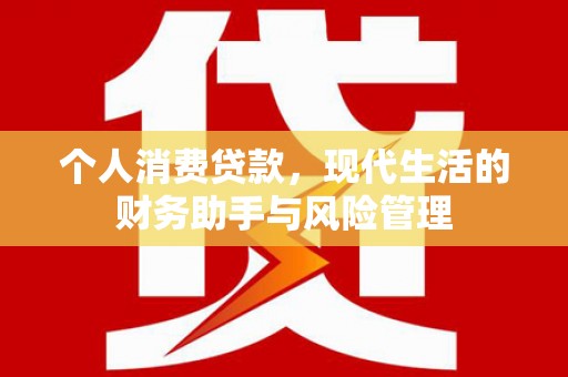 寻甸个人消费贷款，现代生活的财务助手与风险管理
