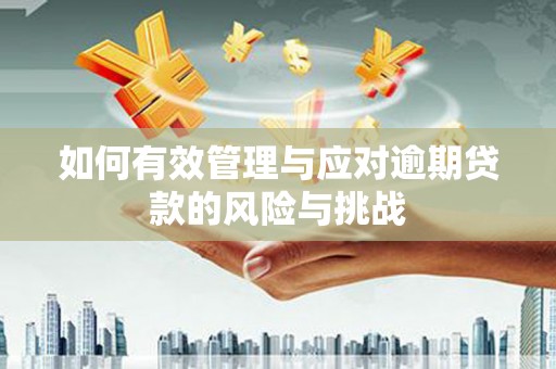 寻甸如何有效管理与应对逾期贷款的风险与挑战