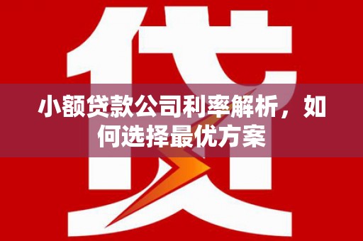 寻甸小额贷款公司利率解析，如何选择最优方案