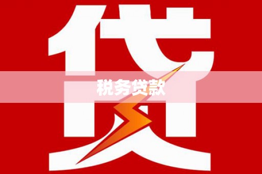 寻甸税务贷款