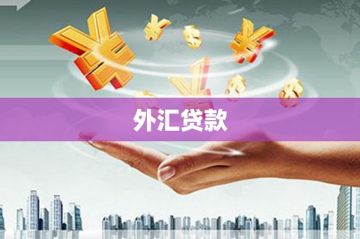 寻甸外汇贷款