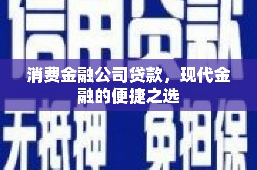 寻甸消费金融公司贷款，现代金融的便捷之选