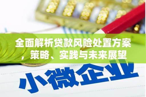寻甸全面解析贷款风险处置方案，策略、实践与未来展望