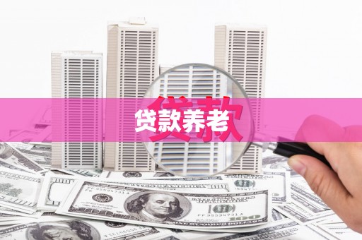 寻甸贷款养老